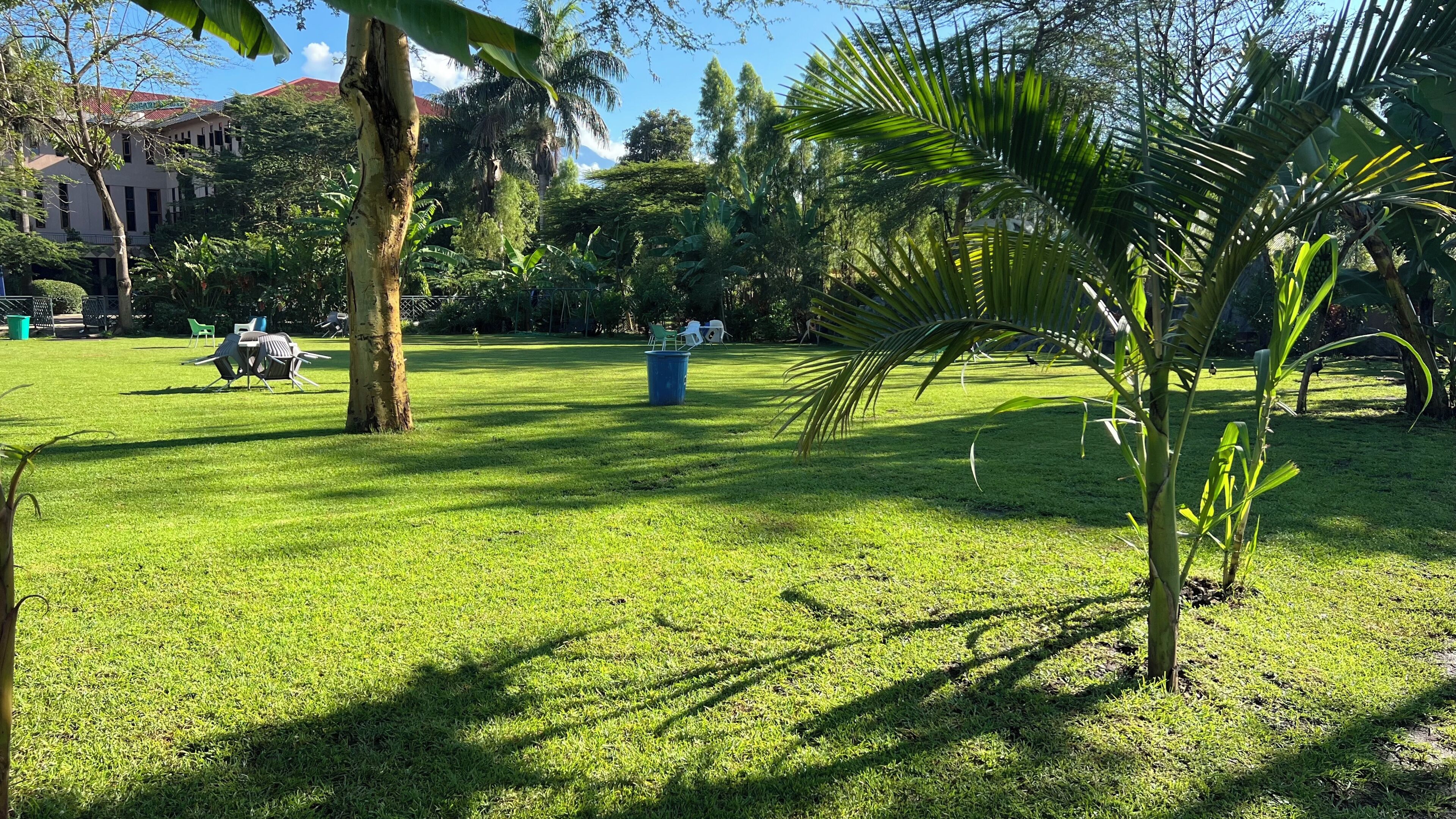 Zona para bodas al aire libre