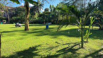 Zona para bodas al aire libre