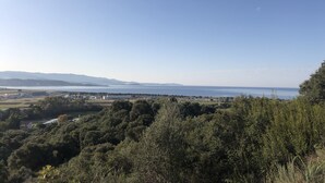 Un paysage côtier caractérisé par une végétation luxuriante, un ciel dégagé et une vue lointaine sur la mer.