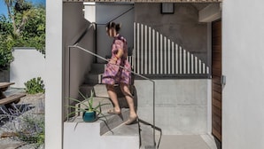 Un bâtiment moderne doté d’une entrée à persiennes en bois, d’un escalier en béton et d’une plante en pot.