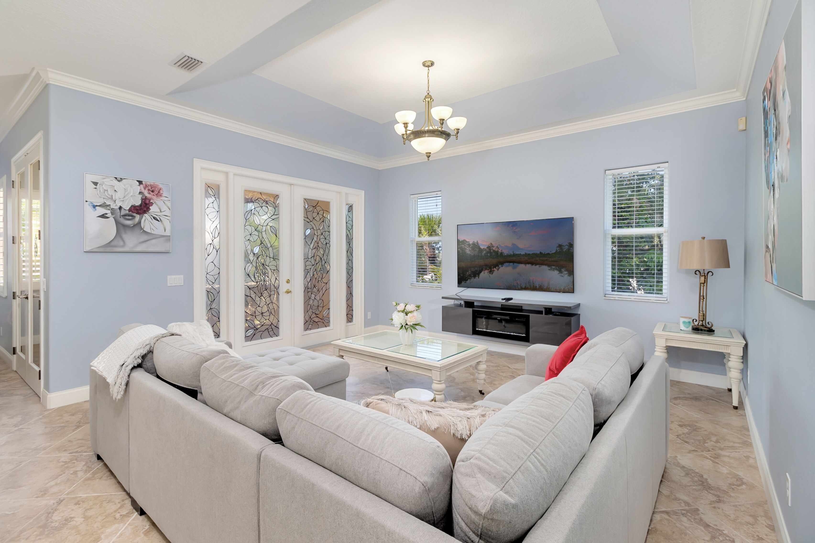 智能电视、壁炉、DVD 播放器