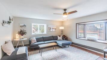 Smart TV, computer monitors