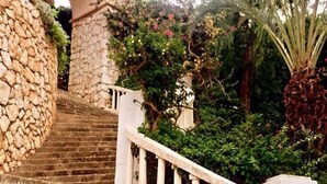 A stone staircase leading up to a building with a white railing and a cat walking down the steps. - Villa for rent in Club Patara holiday village (Kaş)