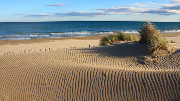 A sandy beach with gentle waves and a clear sky.