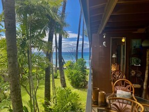 Terrace/patio - Oceanfront with A/C Remodeled Amazing Views of Whales (Lahaina)