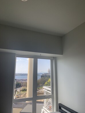 Interior - Downtown Seattle apartment next to the stadiums (Seattle)