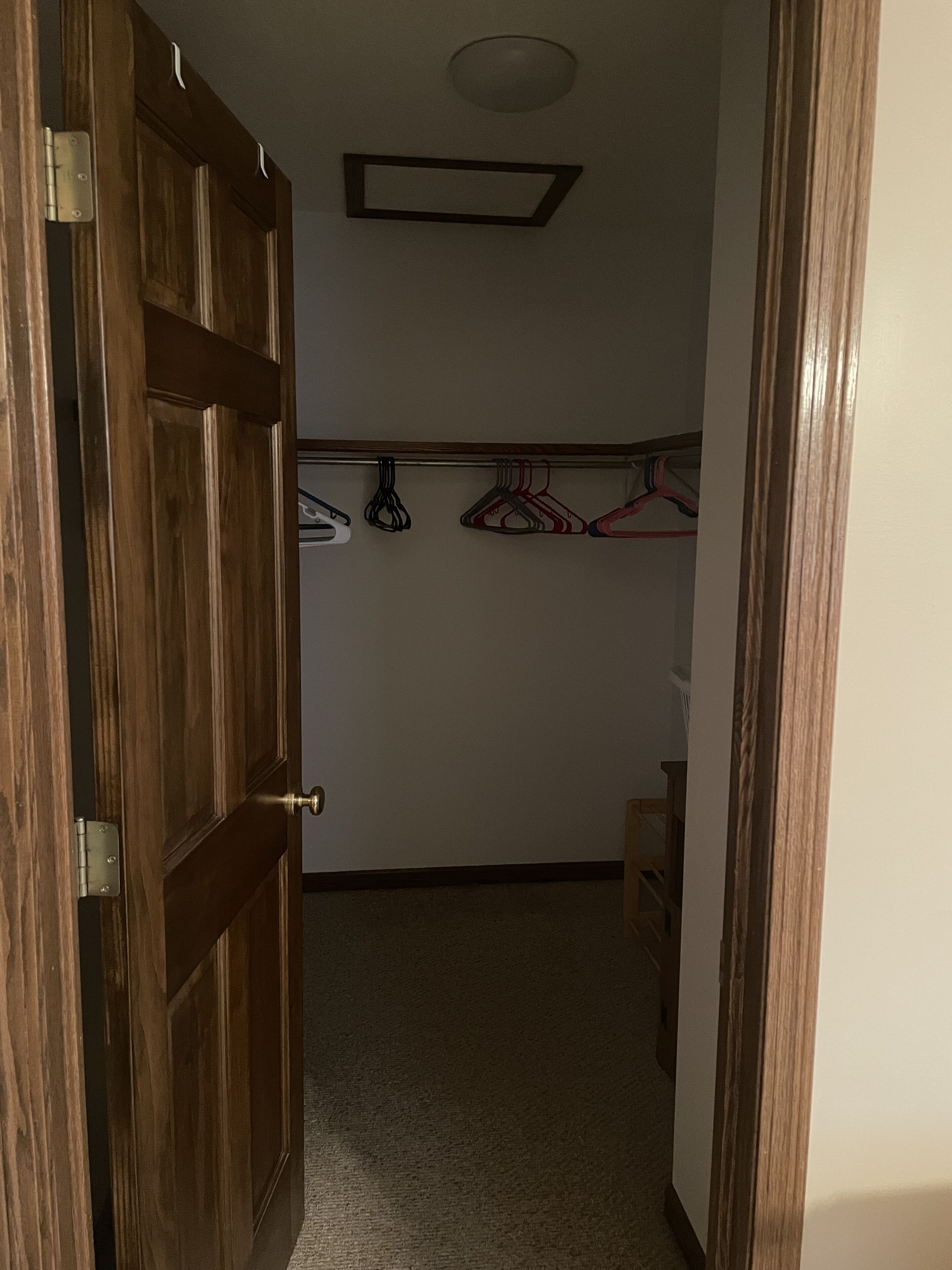 Un couloir avec une porte en bois, un porte-manteau avec des cintres et un luminaire au plafond.