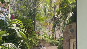 A stone staircase surrounded by lush greenery, leading to a stone wall with a door. - Gringo-Gulch, 3 bedroom w/view, pool/patio (Puerto Vallarta)