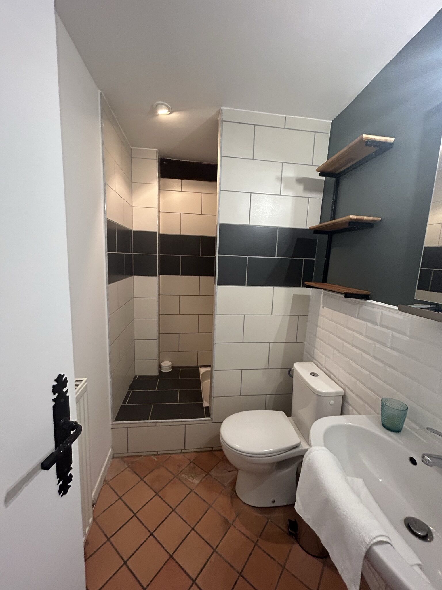 Une salle de bain avec des toilettes, un lavabo et une douche.