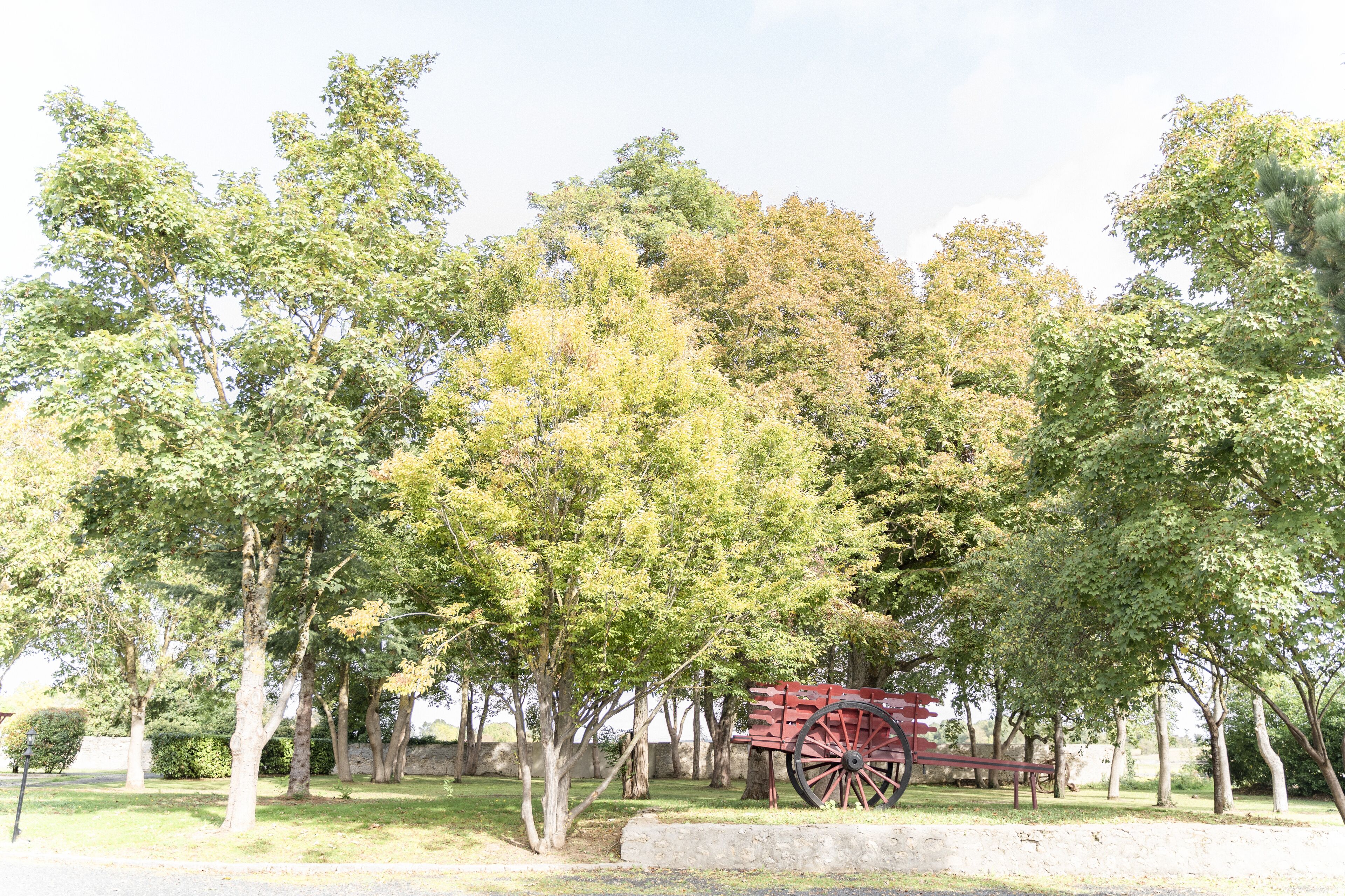 Un parc avec un ancien chariot rouge et des arbres.