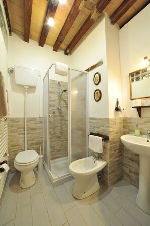 Shower, hair dryer, bidet, towels