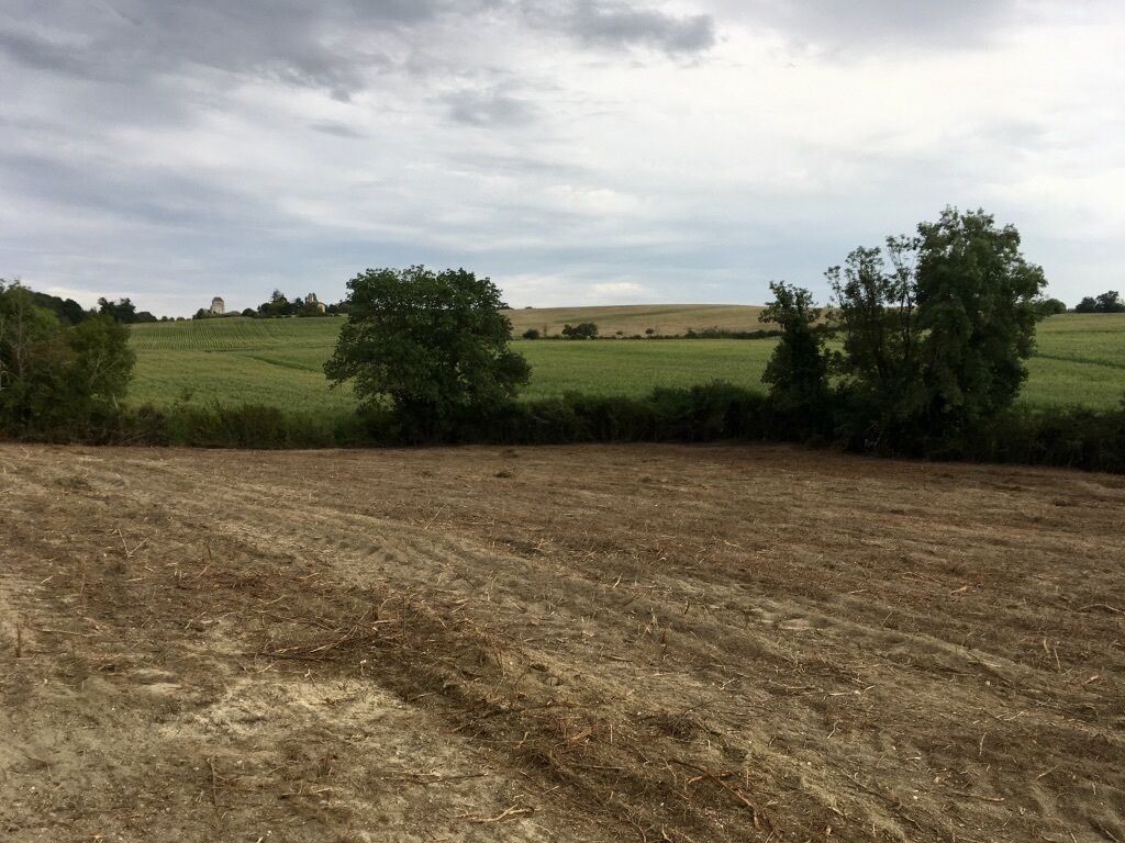 A rural landscape with fields, trees, and a cloudy sky.