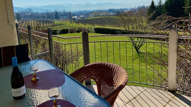 A balcony with a table, a bottle of wine, and a glass, overlooking a vineyard and distant mountains. - Weinberg Idyll vacation apartment - Fantastic view over vineyards to Lake Constance (Lindau)