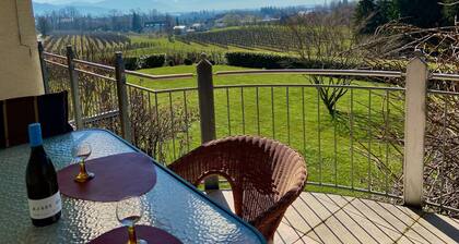 Ferienwohnung Weinberg Idyll - Traumhafter Blick über Weinberge auf den Bodensee