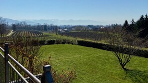 A vineyard with rows of grapevines and a clear view of distant mountains. - Weinberg Idyll vacation apartment - Fantastic view over vineyards to Lake Constance (Lindau)