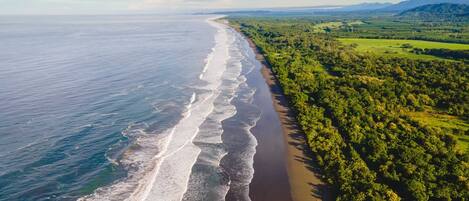 På stranden, solsenger og strandhåndklær