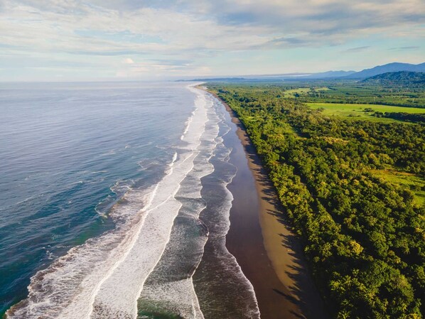 On the beach, sun-loungers, beach towels