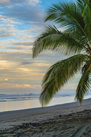 Plage, chaises longues, serviettes de plage