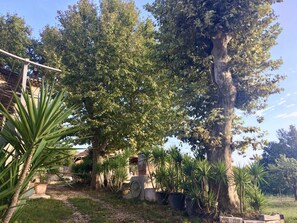 Property grounds - Gîte Van Gogh (Arles)