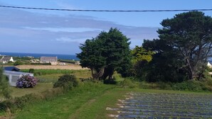 A rural landscape with a clear sky, a large tree, and a field of crops. - Furnished, 2 stars, with sea view (Plouescat)