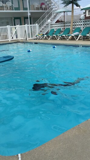 Piscina all'aperto, una piscina riscaldata