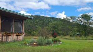 A wooden cabin with a green roof, a porch with flower pots, and a lush green hillside in the background. - Riverside "Barndominium" w/ easy access to water (Eureka Springs)
