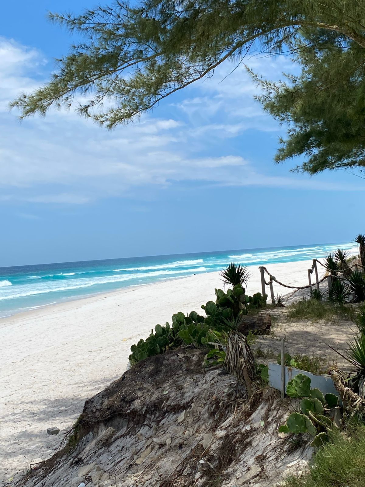 A beach with white sand, ocean waves, and sparse vegetation.
