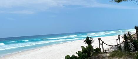 Una playa con arena blanca, olas del océano y vegetación escasa.