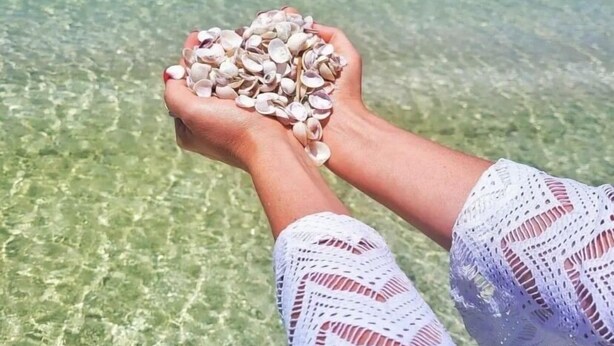 A pair of hands holding clams over clear shallow water with a blue sky in the background. - Feet in the Sand. (Arraial do Cabo)