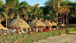 Una playa con cabañas de techo de paja y palmeras.