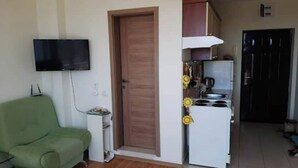 Un espace de vie compact comprenant un canapé vert, un téléviseur à écran plat fixé au mur, un petit meuble blanc, une porte en bois et une kitchenette équipée d’une cuisinière et d’un évier.