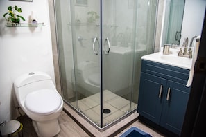 Regadera, secadora de cabello, toallas, jabón 