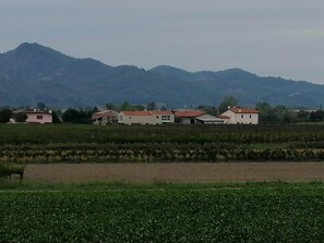 Varie