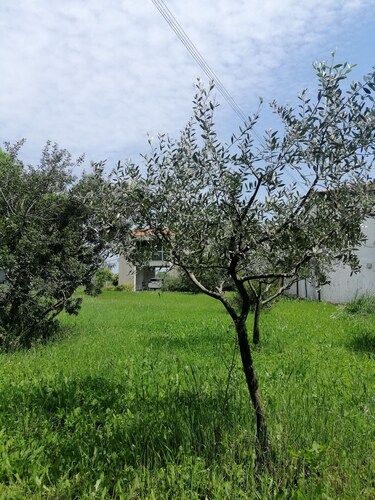 Country house - Villa Agnese - <br>with garden and free parking.