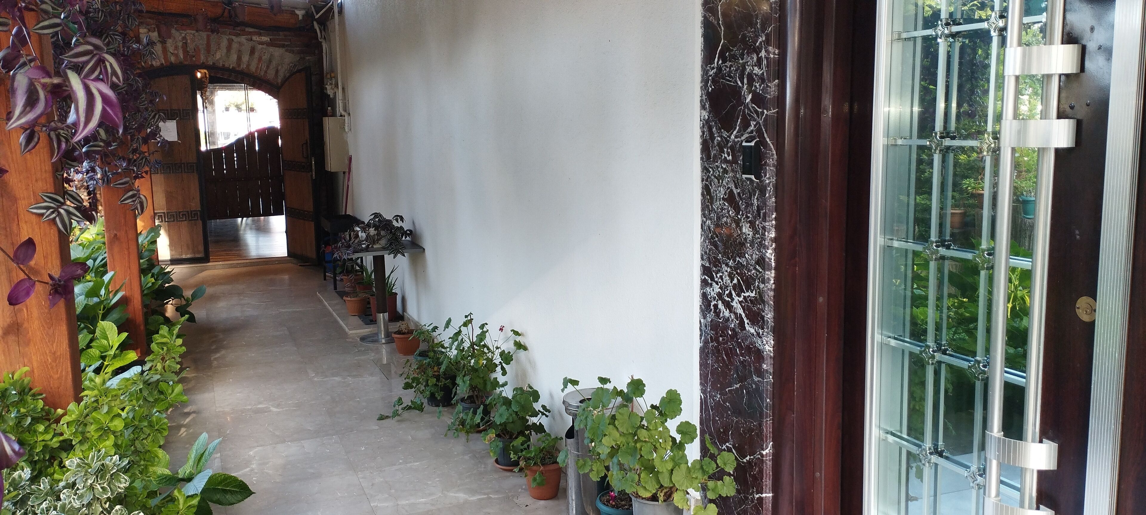 A hallway with potted plants, a wooden archway, and a glass door with a metal frame.