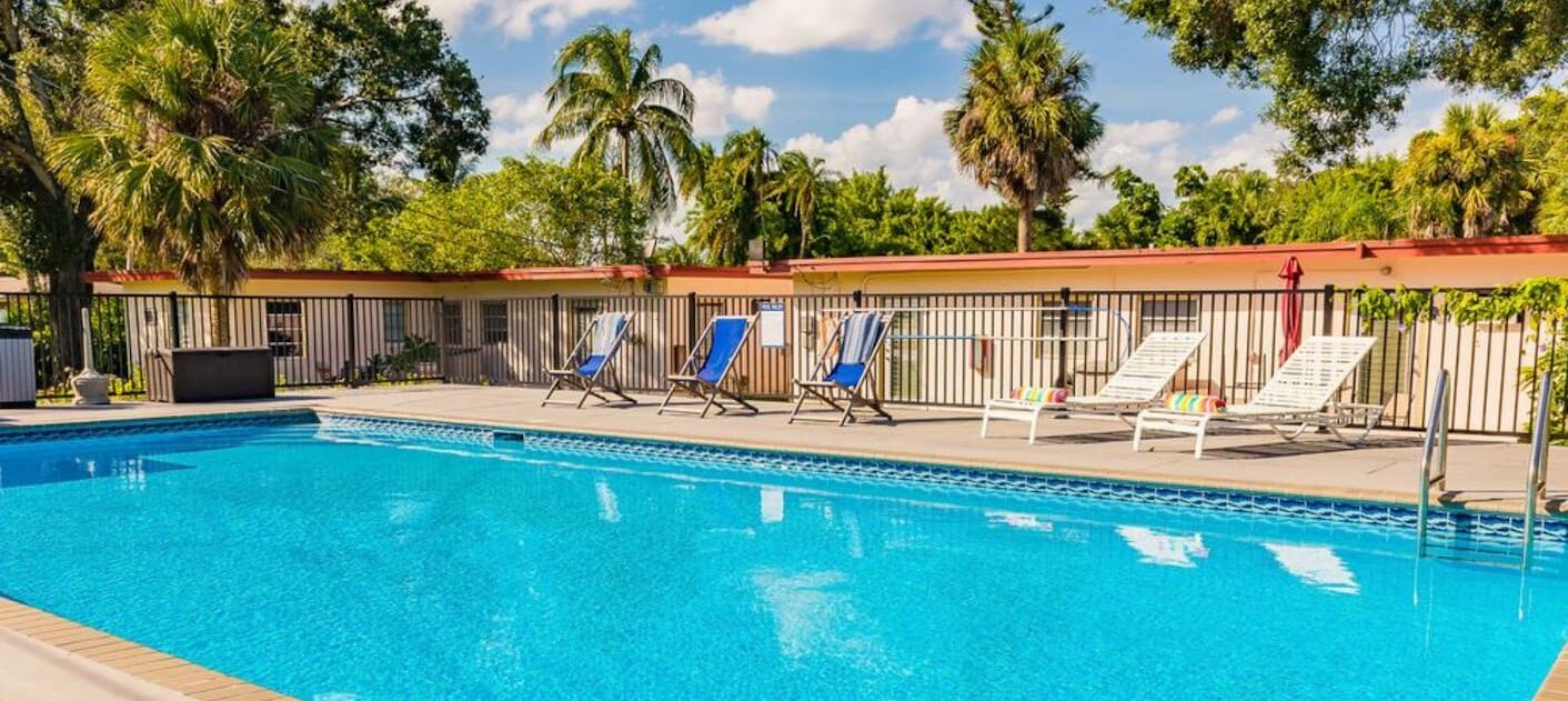 Piscina con lettini, circondata da palme e da una recinzione.