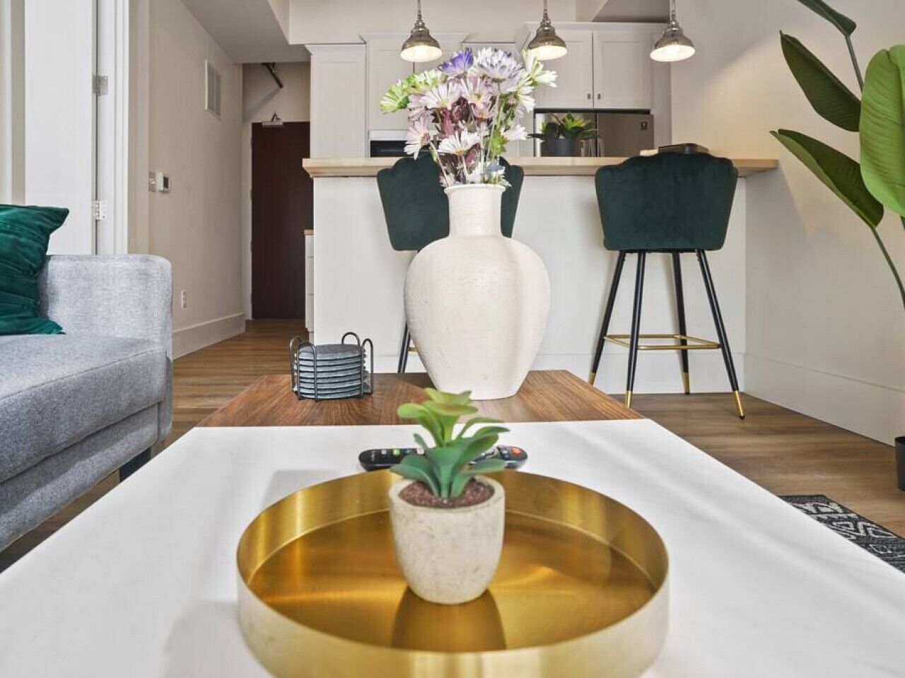 Ein modernes Wohnzimmer mit einer Couch, einem Couchtisch mit Pflanze und einer Küche im Hintergrund.