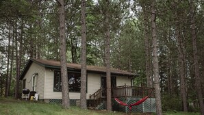 A small cabin surrounded by tall trees, with a hammock and a grill outside.