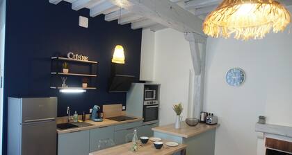 Le Mont Brenn****: appartement cosy au bord des quais de l'Yonne Ă Auxerre