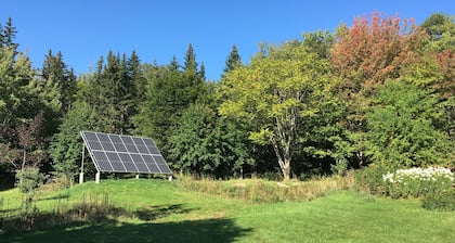 Willow Retreat - Campsite