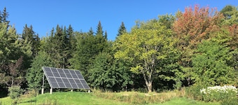 Willow Retreat - Campsite