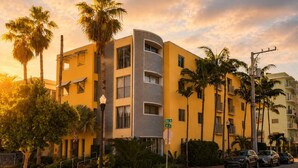 A multi-story hotel with a curved facade, palm trees, and a street view with parked cars.