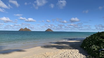 Playa en los alrededores