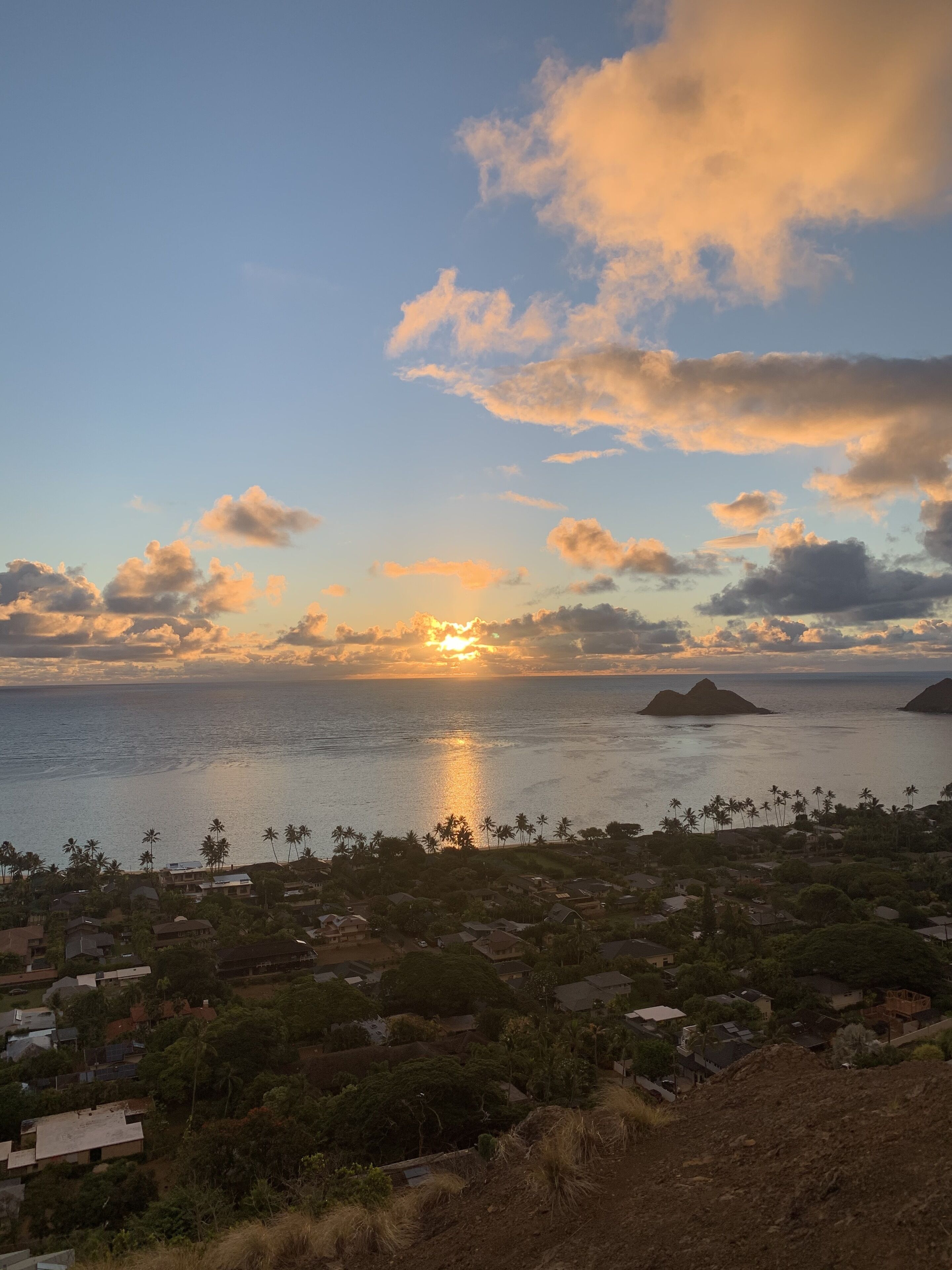 Un paysage côtier avec un coucher de soleil, des maisons et des palmiers.