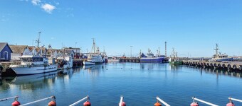 4 bedroom cozy home in Träslövsläge