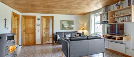 Fernseher, Kamin, DVD-Player