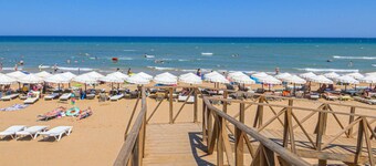 Pet friendly apartment in Torrevieja