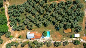 Vue aérienne d’une propriété comprenant une piscine, une grande maison et une forêt environnante.