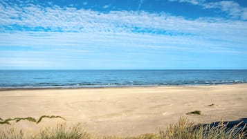 Playa en los alrededores y pesca