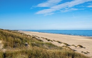 Enjoy a serene beach experience with endless dunes and a wide, open shoreline.